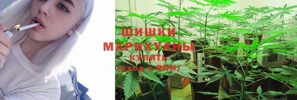спайс Коряжма